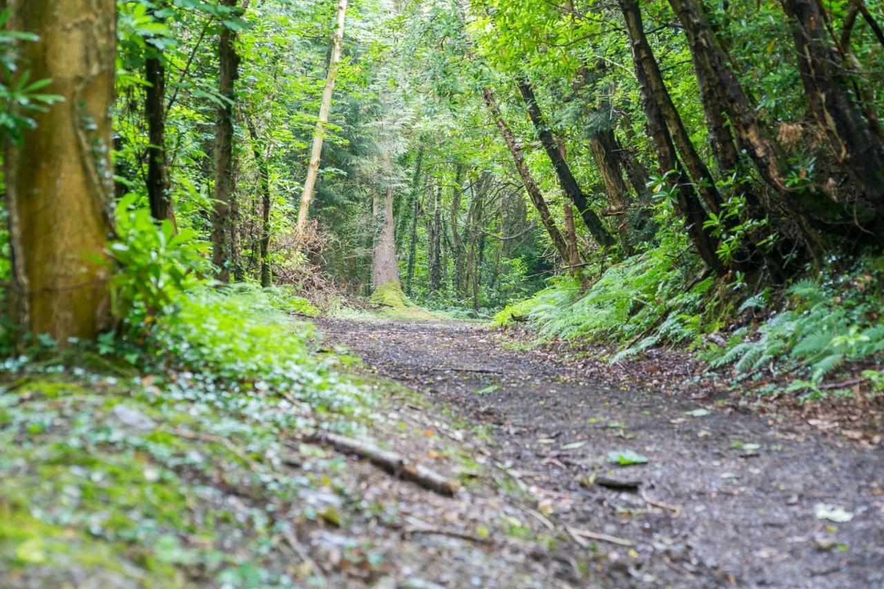 Vila Cae Mab Dafydd Llanfairfechan Exteriér fotografie